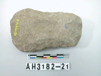 藏品(中型斜刃舌形打製石斧)的圖片